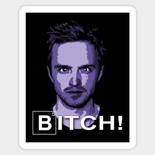 Jesse Pinkman the dark part of the culvert Sticker